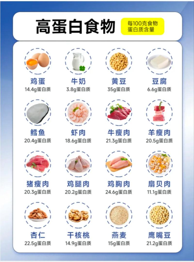 什么食物含蛋白最多