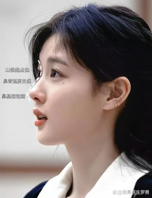 鼻梁低适合什么发型