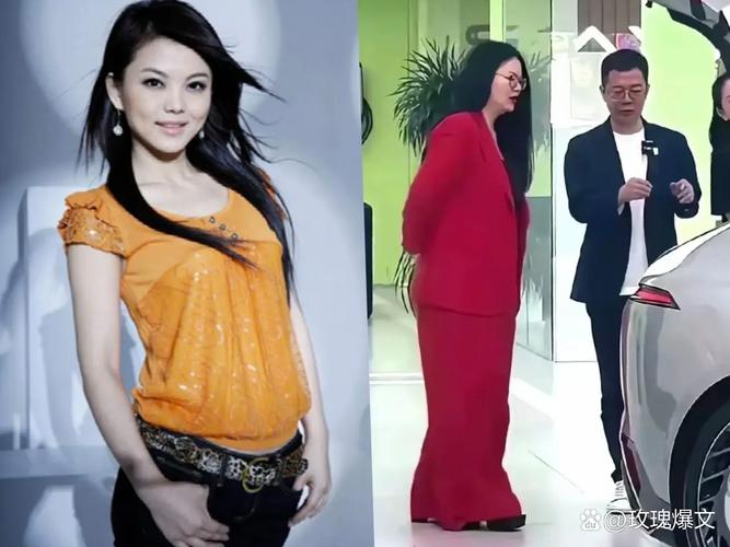 李湘用什么产品减肥成功的