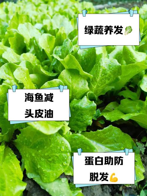 吃什么维生素长头发