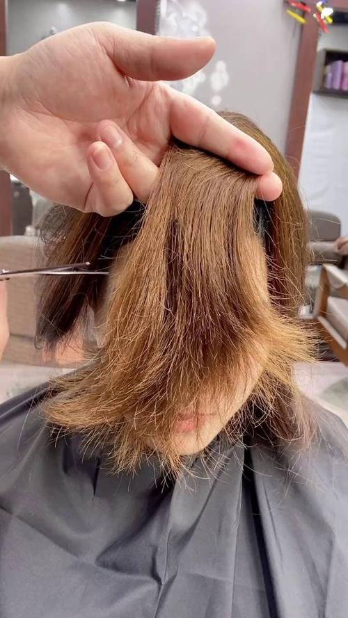 为什么头发会开叉