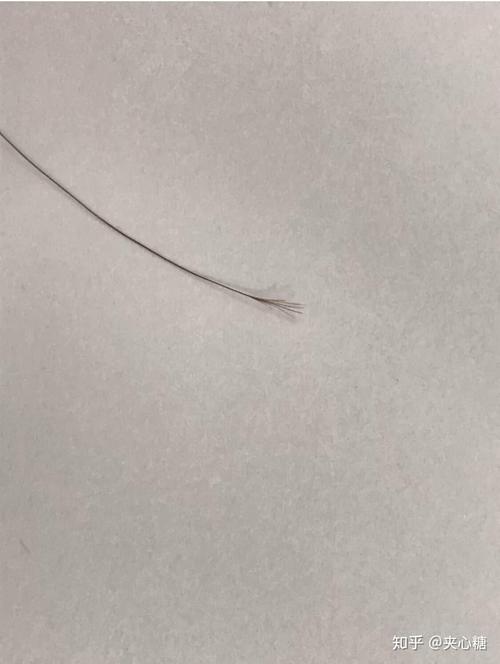 为什么头发会开叉