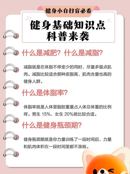 什么情况算减肥瓶颈期