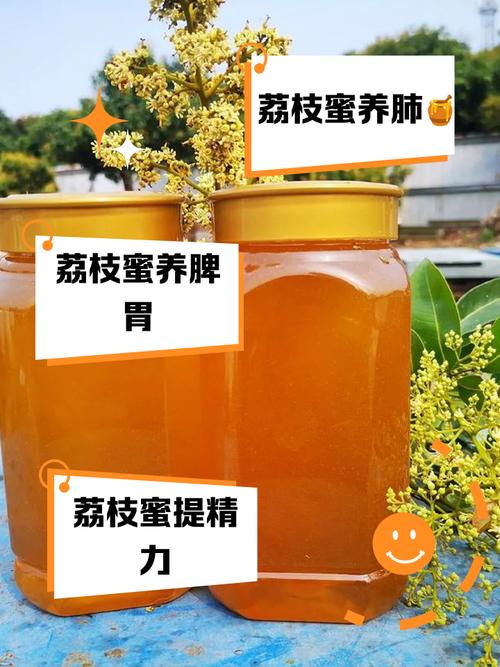 什么蜜可以减肥吗