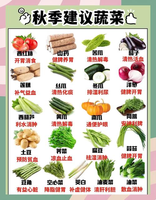 秋天吃什么菜能减肥最快