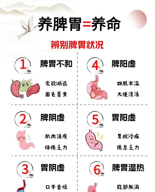 脾胃虚吃了什么减肥吗