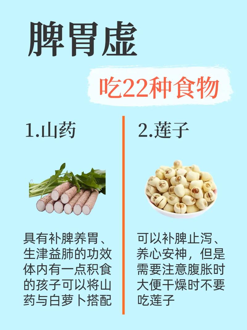 脾胃虚吃了什么减肥吗