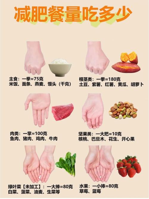 减肥摄入量指什么