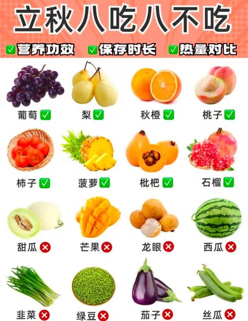 减肥期间可以多吃什么水果蔬菜