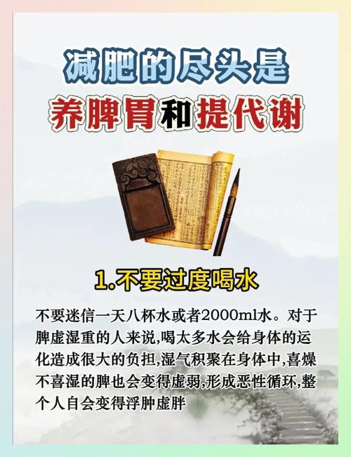 减肥 中医是什么理念