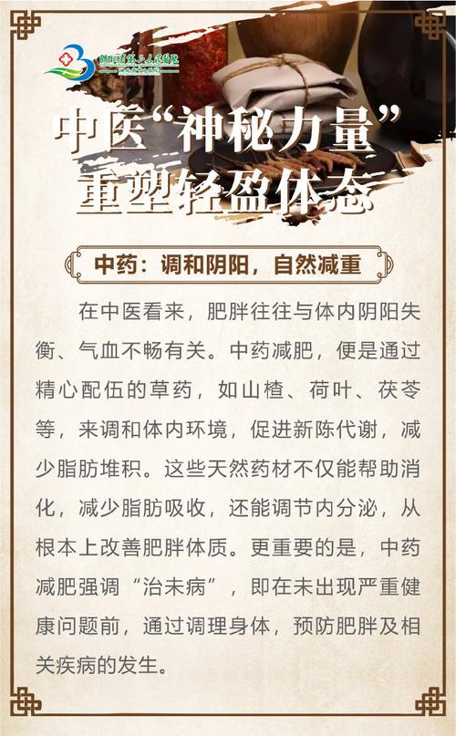 减肥 中医是什么理念