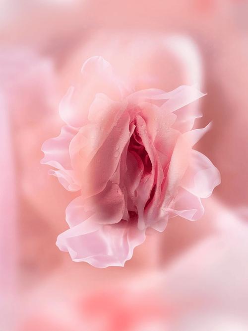 阴道为什么干涩