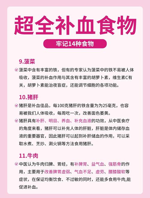 什么食物能补气血