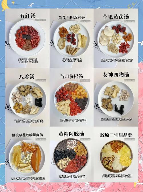 什么食物能补气血
