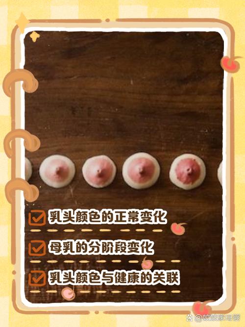 乳头长什么样图片