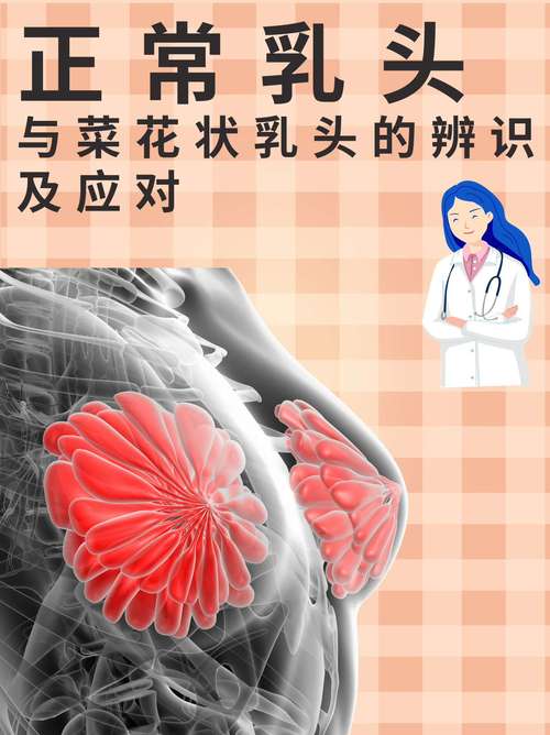 乳头长什么样图片