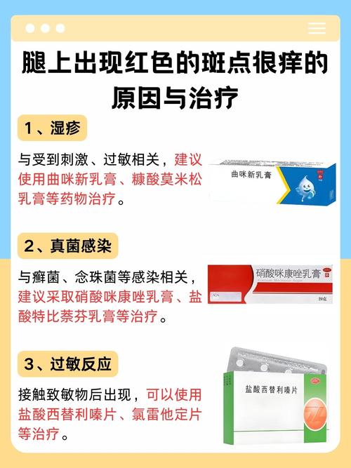 皮肤瘙痒看什么科