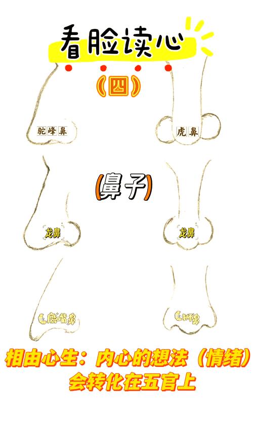 人的鼻子像什么