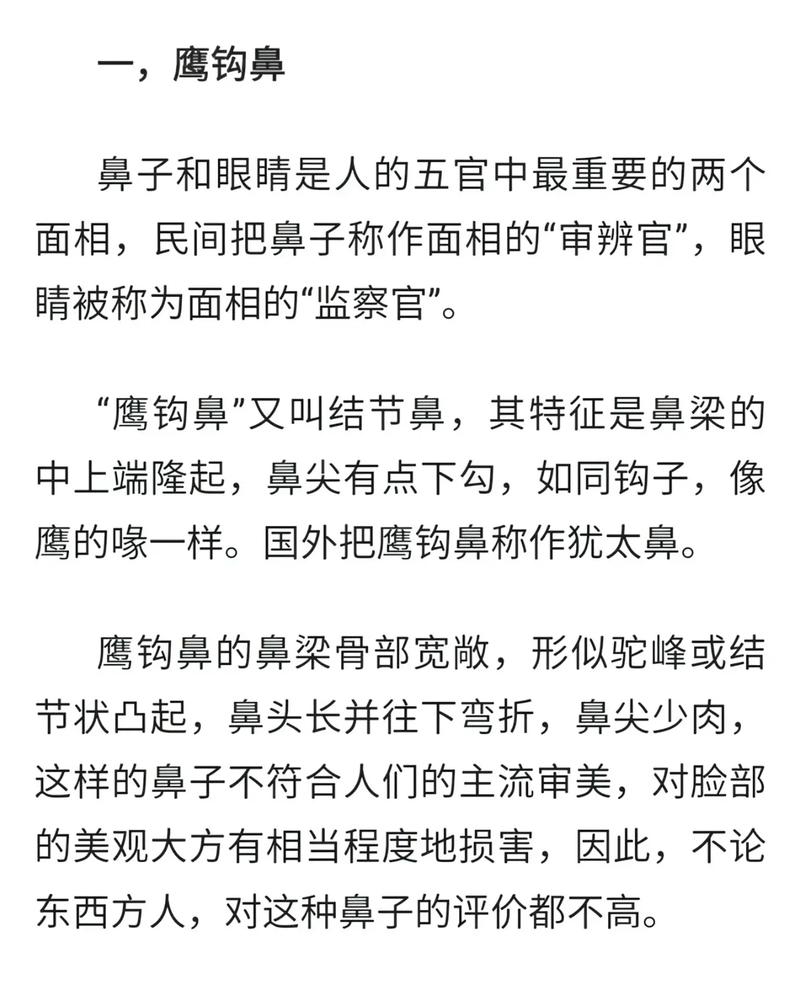 人的鼻子像什么