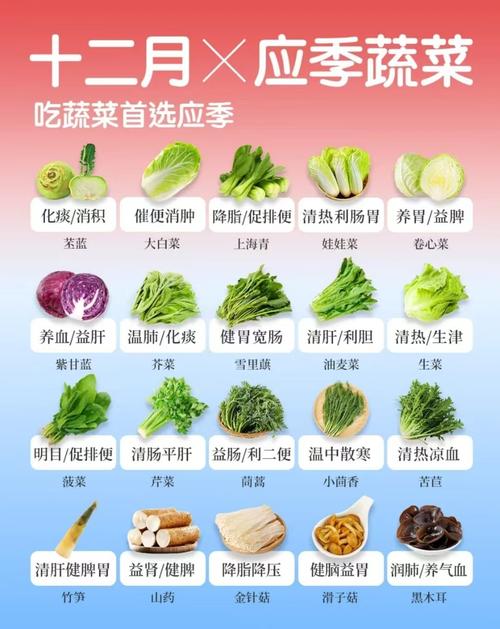 夏季减肥吃什么蔬菜