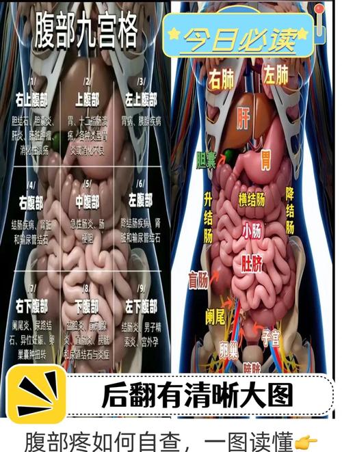 左腹隐痛是什么原因