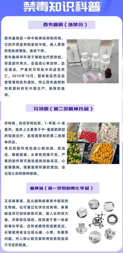 什么西药能减肥