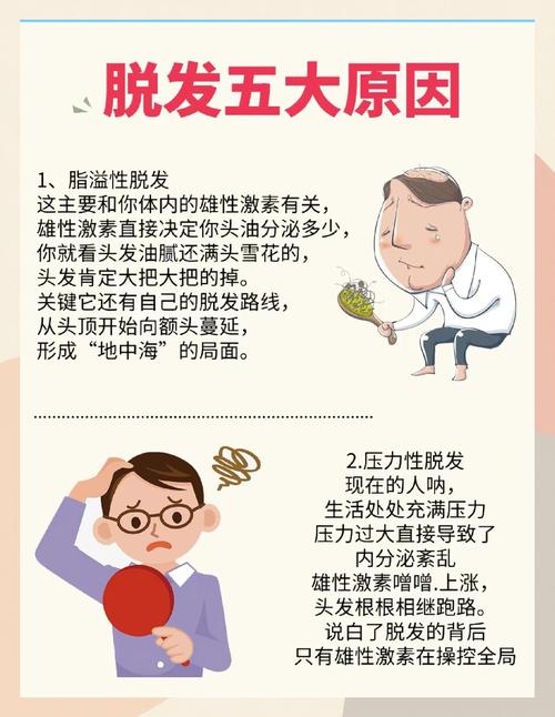 经常掉头发什么原因