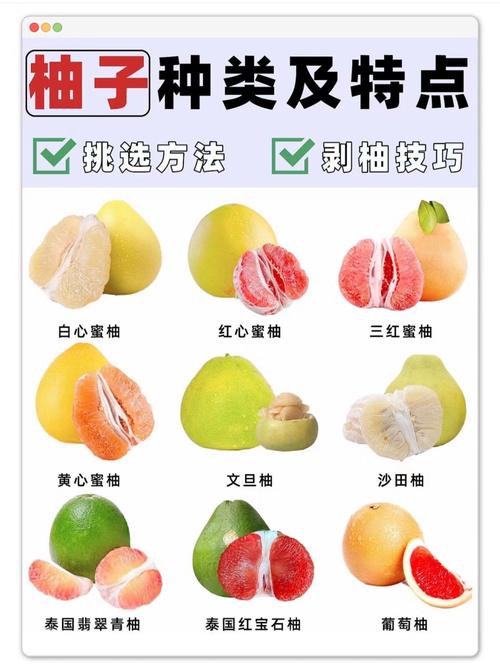 吃柚子有什么作用