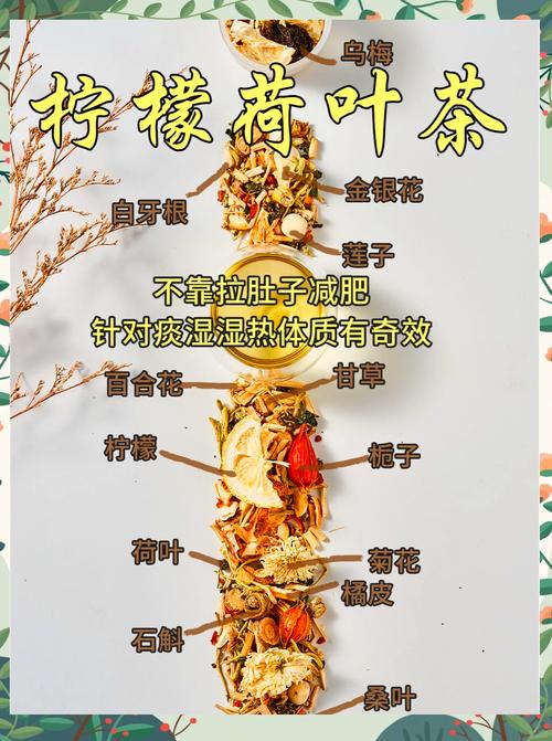 什么时间喝荷叶茶减肥