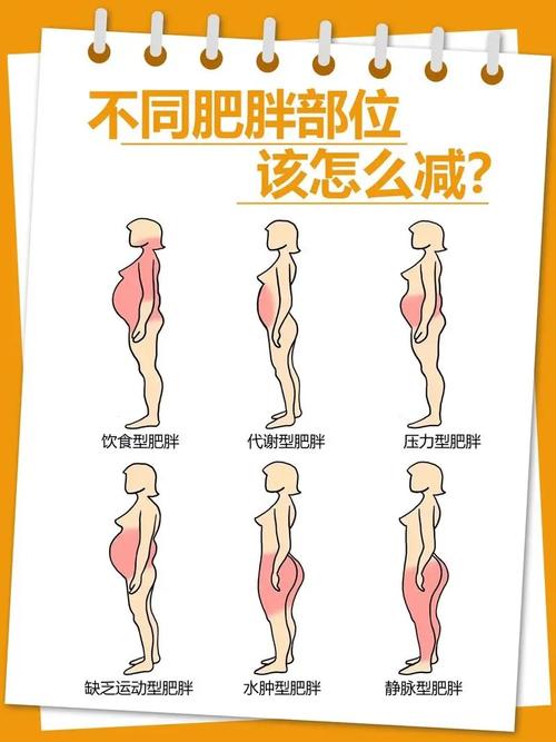 减肥肥肉是个什么过程