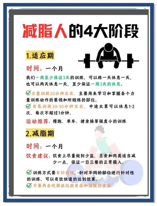 减肥肥肉是个什么过程