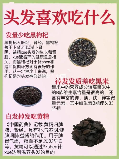白发脱发吃什么好