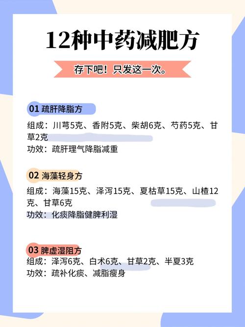 吃什么中药可以燃脂减肥