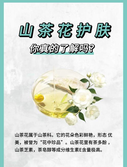 山茶花护肤品的功效与作用