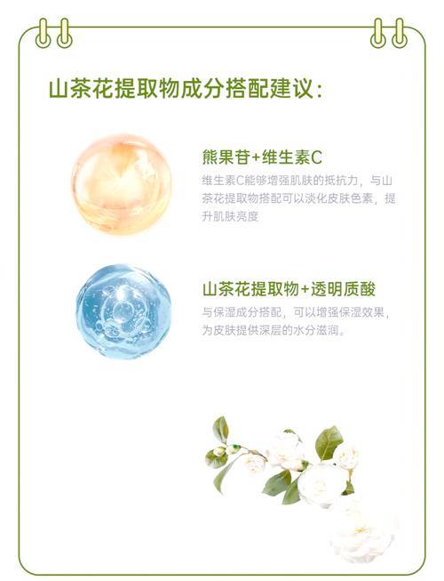 山茶花护肤品的功效与作用