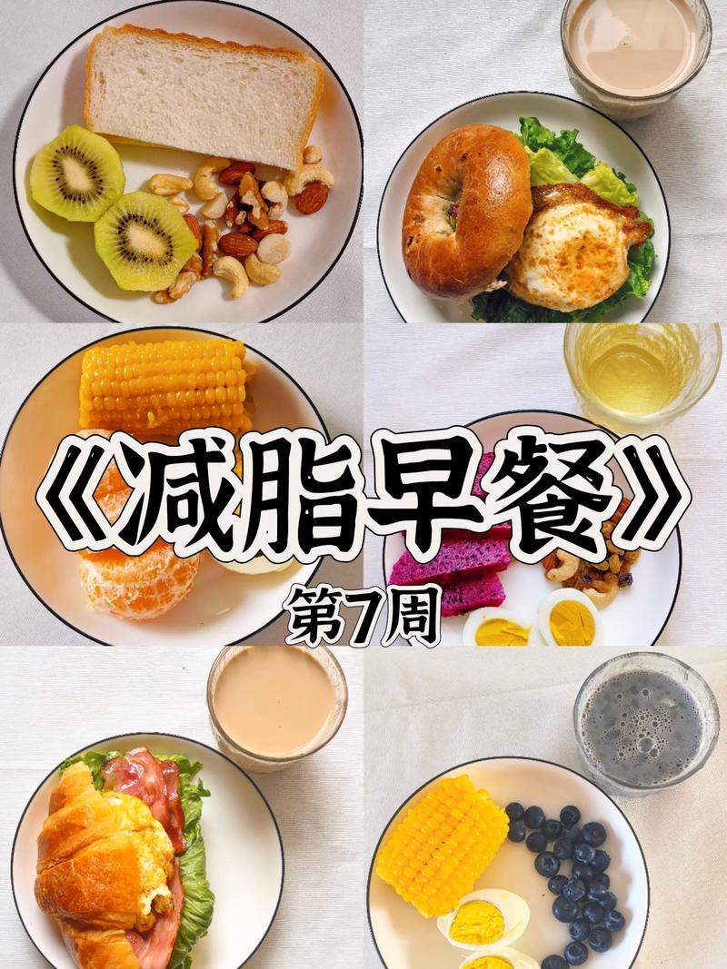 减肥饿肚之前吃什么好