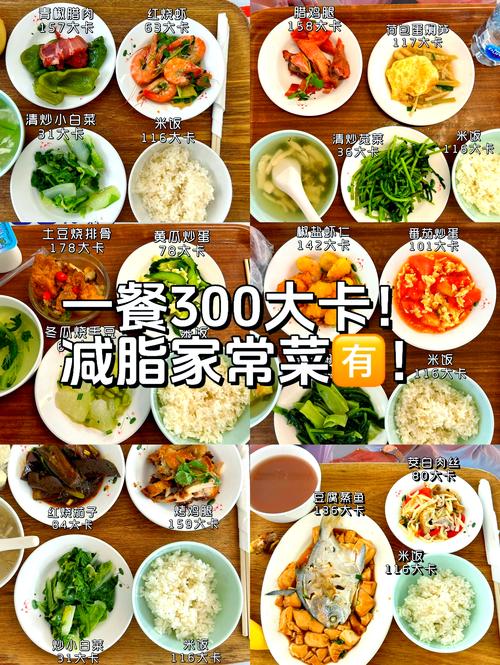 什么才吃了能减肥