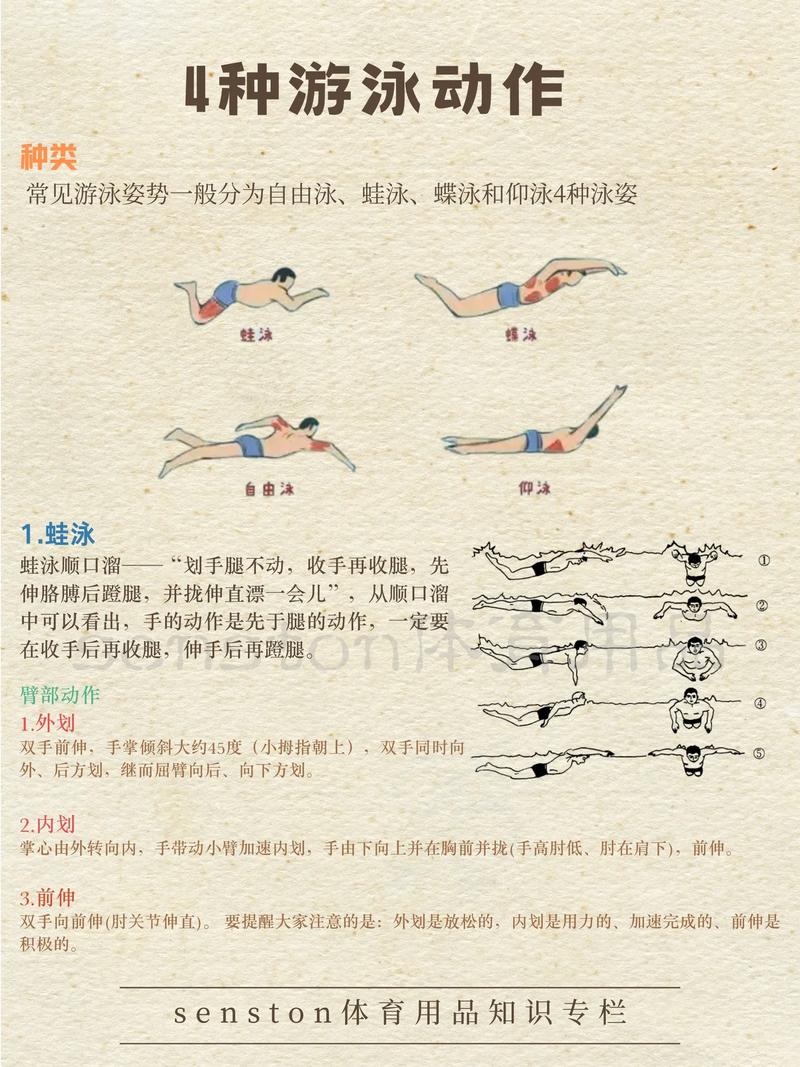 游泳什么姿