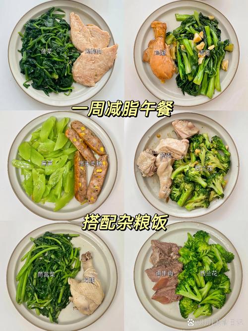 减肥一天三顿吃什么