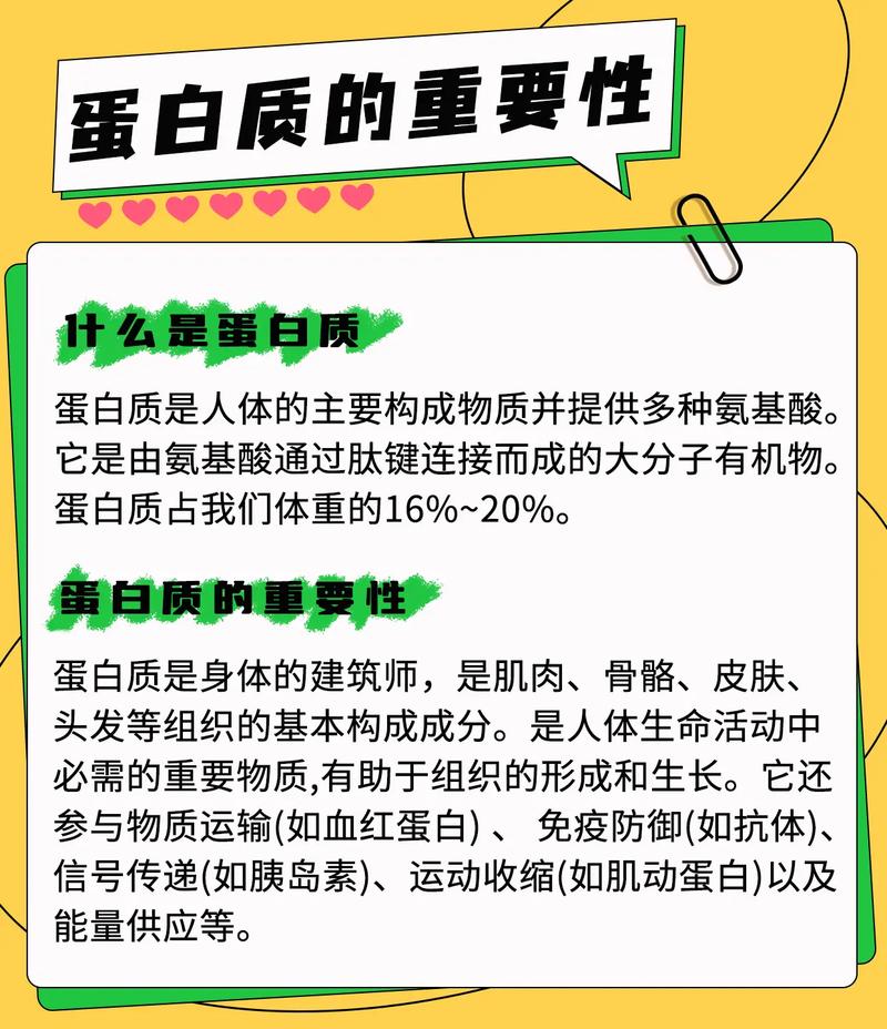 减肥为什么要吃蛋白