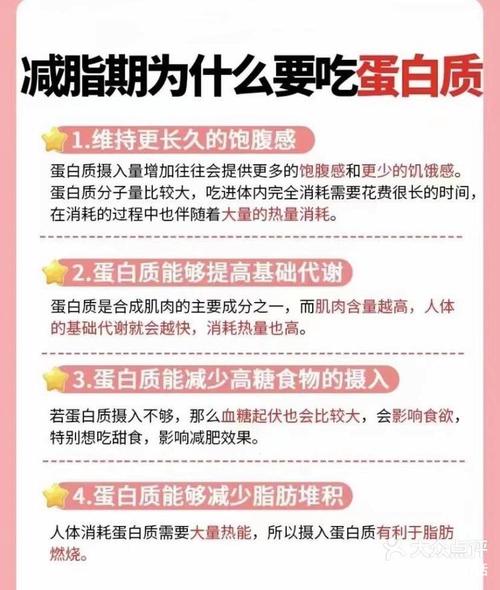 减肥为什么要吃蛋白