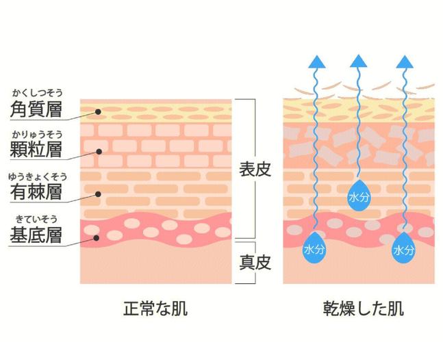 洗面奶洗了脸紧绷原因