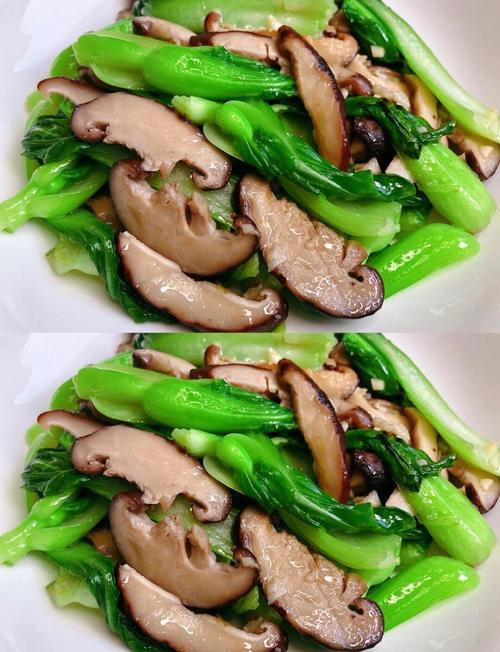 冬天适合吃什么青菜减肥