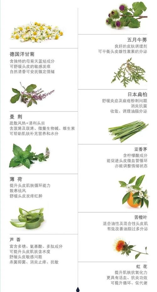 迷迭香有什么作用