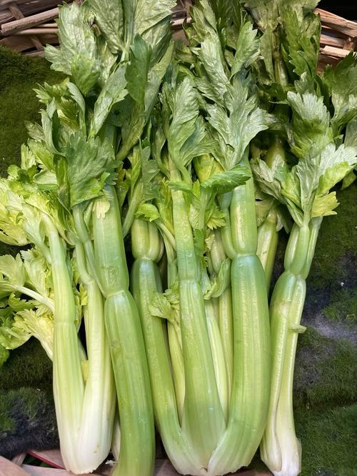 什么样的青菜有利减肥