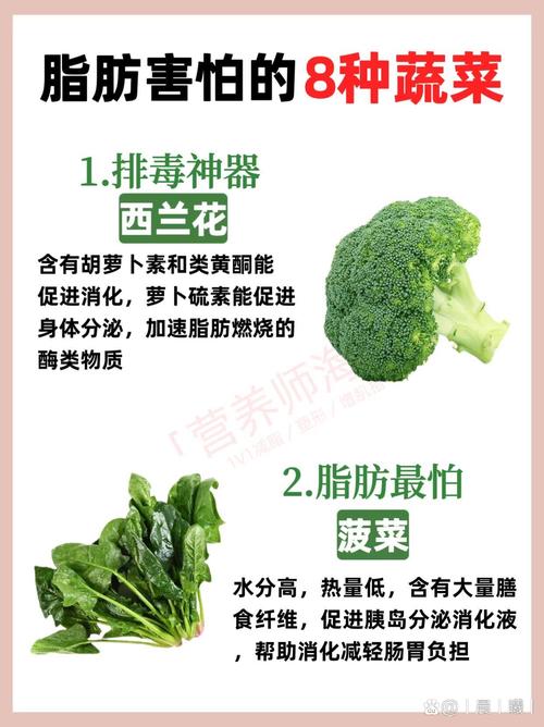什么蔬菜吸脂减肥最快
