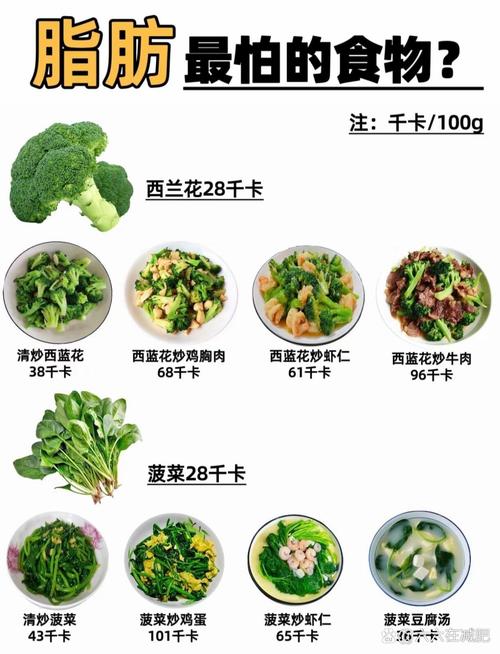 什么蔬菜吸脂减肥最快