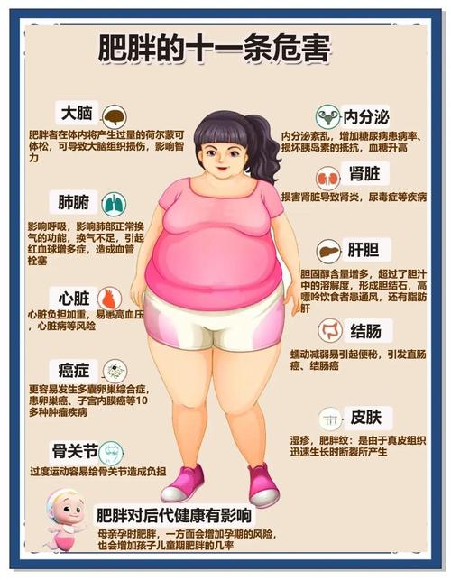 肥胖会引起什么病