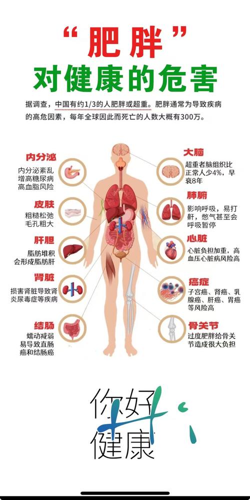 肥胖会引起什么病