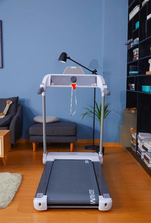 在家减肥都要买那些什么器材